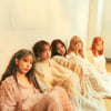 르세라핌 'EASY' 오리콘 데일리 앨범 랭킹 1위..판매량 25% 증가