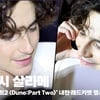 티모시 살라메(Timothee Chalamet), '순백의 왕자님' [영상]