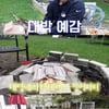 손태영♥권상우, 美에서 장어 파티.."1년에 한번씩 연례 행사"