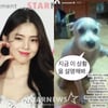 한소희♥류준열 해명에..칼든 강아지짤 '강쇠' 뜻밖의 스타 등극[스타이슈]