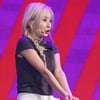 [포토] 시그니처 '우리의 벚꽃엔딩'