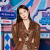 '은퇴 암시' 보아, 대규모 고소 진행..SM "합의 없다" [공식]