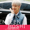 세븐틴 호시 '귀여운 꽃받침' [★영상]