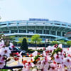 KBO 리그 관중 폭발, '평균 9915명→1만4381명 대폭 증가' 사상 최다 관중 동원하나... 경기 시간은 '5분' 줄었다