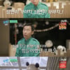 '유퀴즈' 강철원 사육사 "모친상에도 푸바오와 中 동행, 의젓하고 밝아"[별별TV]