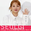 레드벨벳 슬기 '백조같은 매력' [★영상]