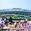KBO 3·4월 월간 MVP 후보 '7명' 발표, 영광의 주인공은 누구?