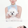송혜교, 촬영 쉬는 시간에도 완벽 미모..반려견과 똑 닮은 투샷