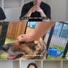 "좋은 대표 NO" 강형욱, 반려견 방치→직원 갑질 '눈물의 해명' [종합2]