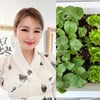 "이런 게 행복이지" 송가인, 김태리도 흐뭇할 '현실판 리틀 포레스트'