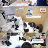 15기 현숙·17기 영숙, 6기 영수 DM 공유→어장 들통 "신뢰 안 가"[나솔사계][★밤TView]