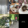 "같이 나가자"..'이효리♥' 이상순, 신곡 발매 예고