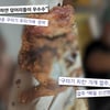 "닭다리서 하얀 덩어리가 후두두"..구더기 치킨 논란, 진실은?[궁금한 이야기Y]