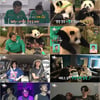 방시혁, '전참시' 깜짝 등장..'푸바오 동생' 루이바오X후이바오 삶 공개[종합]