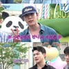 "더할 나위 없이 좋았다"..'콩알탄' 시즌1 마무리