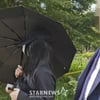 탈덕수용소, '강다니엘 명예훼손' 영상 직접 시청.."공익 위해 제작" [스타현장]