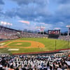'평일에도 더블헤더 치른다' KBO 정규시즌 9월 28일 종료, 잔여 102경기 일정 확정 [공식발표]