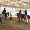 한국마사회, 여름방학 유소년 승마 강습 진행
