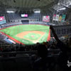 KBO 43년 만에 첫 '900만 관중' 돌파... 산술 최종 '1062만'
