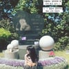 '골반 괴사' 최준희, 결국 故 최진실 묘소에 털썩 "아플 때는 엄마한테.." 먹먹 [스타이슈]