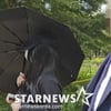 '가발 쓰고 무죄 주장' 탈덕수용소, 오늘(11일) 강다니엘 명예훼손 1심 선고 [스타이슈]