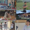 "웰컴" 임영웅, 양손 무거운 히어로..차승원·유해진과 '세끼결의' [삼시세끼 Light]