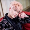 '22년 만의 드림콘서트' 강성훈, 추억 소환 "노란 물결..소중해" [스타이슈]