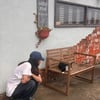 '이상순♥' 이효리 추석 어떨까..서울 이사 앞두고 편안한 일상