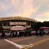 "이숭용 나가!→이승엽 나가!" 사령탑들 수난시대, 왜 분노를 표출했나 [WC2 현장]