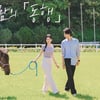 한국마사회, 제27회 말 사진 공모전'동행'10월 접수