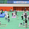 국민체육진흥공단, 레저스포츠 페스티벌