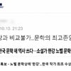 "노벨병화상과 비교불가" SBS, '한강 노벨상' 특보中 '비하 댓글' 논란 [스타이슈]