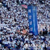 '관중 수입 104억 돌파' 역대 신기록, KIA '함박웃음'... 탈락한 LG-KT-두산도 웃는다