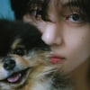 방탄소년단 뷔 '레이오버', 아이튠즈 앨범차트 110개국 1위