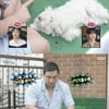 구성환 "犬 꽃분이, 곧 10살..뇌 훈련 권고받아"[나혼산][별별TV]