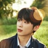 박태훈(Pagaehun), 솔로 가수 유일 'MMA2024' 신인상 후보