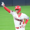 '2024년은 김도영의 해' 일구상 최고타자상 차지했다! 투수상 원태인-신인상 김택연-의지노력상 손호영