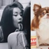 하리수, 먹먹한 고백 "내 아들 못 본 지 9개월..춥고 외롭다"