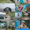 "로드 킬 조심" 이주빈, 운전 중 야생 고라니 난입에 '깜짝'(텐트 밖) [종합]