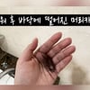 '박수홍♥' 김다예, 37kg 찌고 산후 탈모까지 "한움큼씩 빠져"..상하는 몸 [스타이슈]