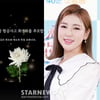 송가인도 통감 "무안공항 희생자를 추모합니다"..제주항공 참사 애도글 게재