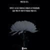 KFA, 여객기 참사 애도 "깊은 애도와 위로를"... KBL·KOVO도 함께 추모했다