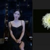 송민호 열애설은 침묵..박주현, 제주항공 참사 애도 동참[스타이슈]