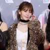 르세라핌 사쿠라, 뜨개질 머치 '꾸로셰' 론칭..14일 정식 출시