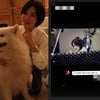 "이토록 사랑스러운 너라니" 송혜교가 화답한 3살 연상♥