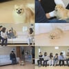 '슬픈 속사정' 제니, 15개월간 보호자 3번 바뀌어..시한폭탄 상태[세나개]