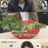 '김소연♥' 이상우, 100일 걸친 '배추 농사' 도전→이상 기후로 '대실패'[편스토랑]