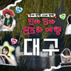 진짜진짜 진즈하여행→은채의 취미일기..르세라핌, 피어나 사로잡는 '자체 콘텐츠'