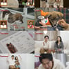 '동물농장' 전진♥류이서, 새 가족 경사..안락사 위기犬 '만세' 품었다[종합]