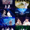 "박보검은 시벨롬"..스텔라장, 박보검과 어떤 인연 있길래? [칸타빌레]
